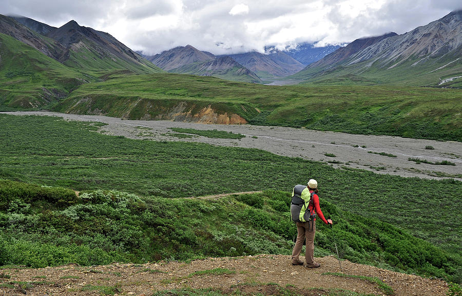 Backpacking Denali National Park Photograph by HagePhoto - Fine Art America