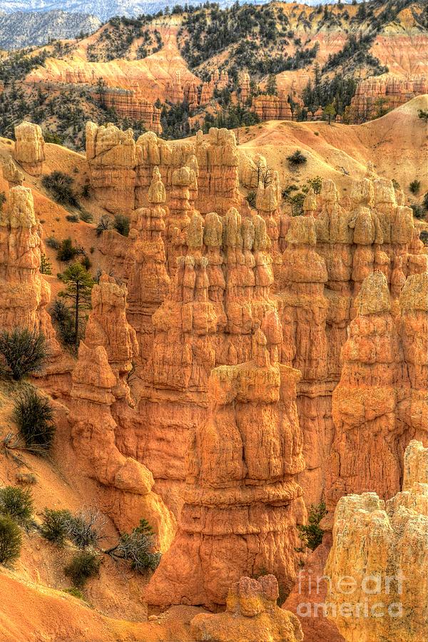 Bryce Canyon  #13 Photograph by Marc Bittan
