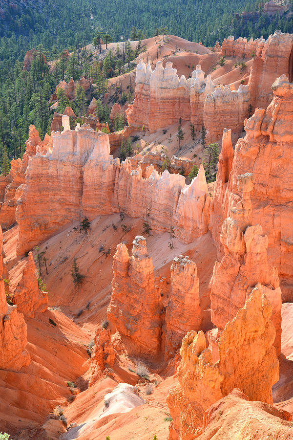 Bryce Canyon #5 Photograph by Ray Mathis