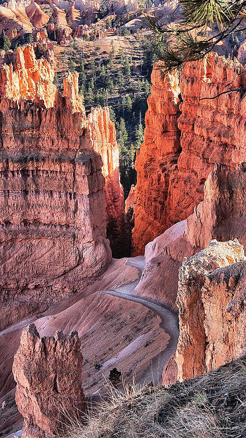 Bryce Canyon #13 Photograph by SM Shahrokni