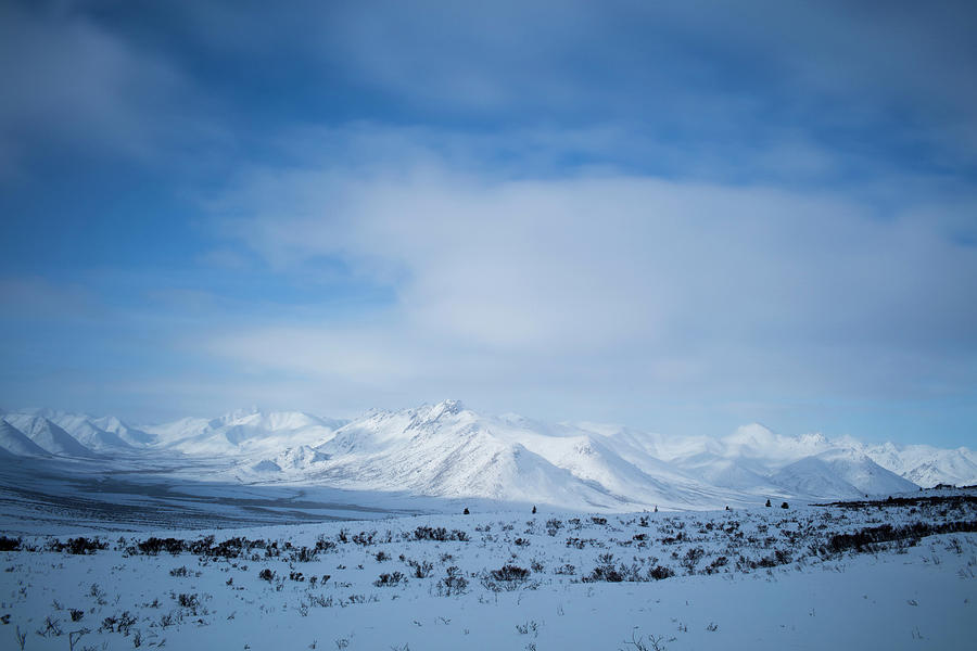 Canadas Western Arctic Photograph by Rafal Gerszak - Fine Art America