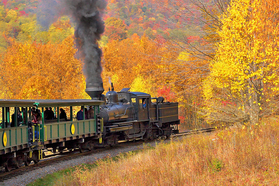 Cass Scenic Railroad #14 Photograph by Mary Almond