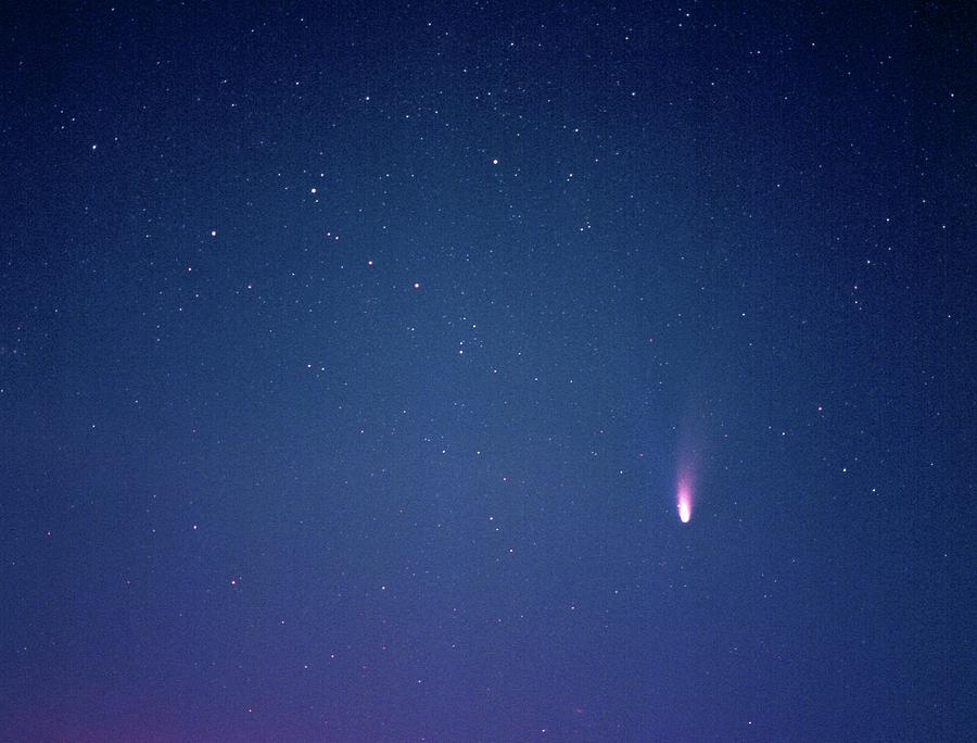 Space Photograph - Comet Hale-bopp #13 by Detlev Van Ravenswaay