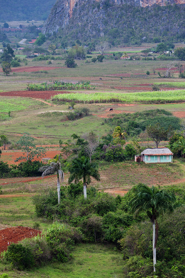 Landscape Photograph - Cuba, Pinar Del Rio Province, Vinales #13 by Walter Bibikow
