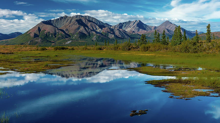 Denali Highway, Route 8, Offers Views #13 Photograph by Panoramic Images