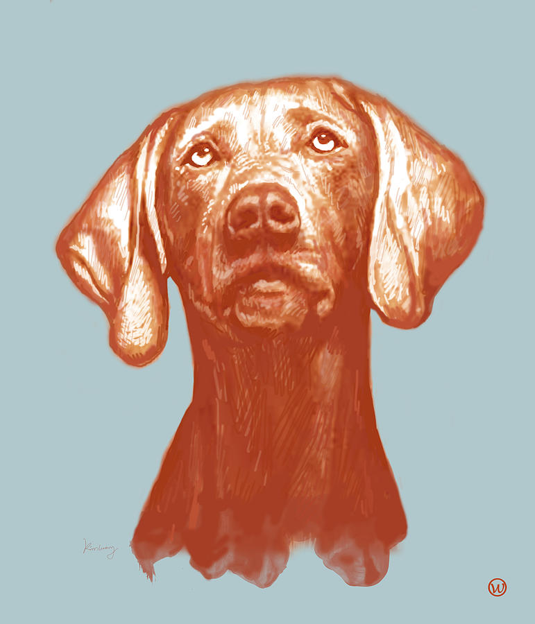 Portrait Drawing - Dog stylised pop modern art drawing sketch portrait #13 by Kim Wang