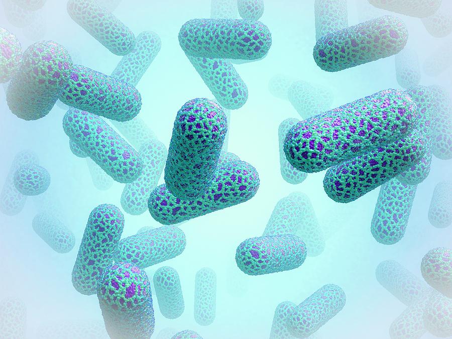 Bacilli Photograph - E. Coli Bacteria #13 by Maurizio De Angelis