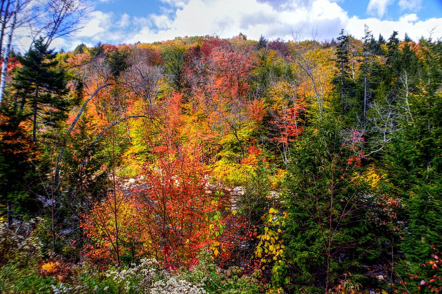 Fall Foliage in New Hampshire Photograph by Paul James Bannerman