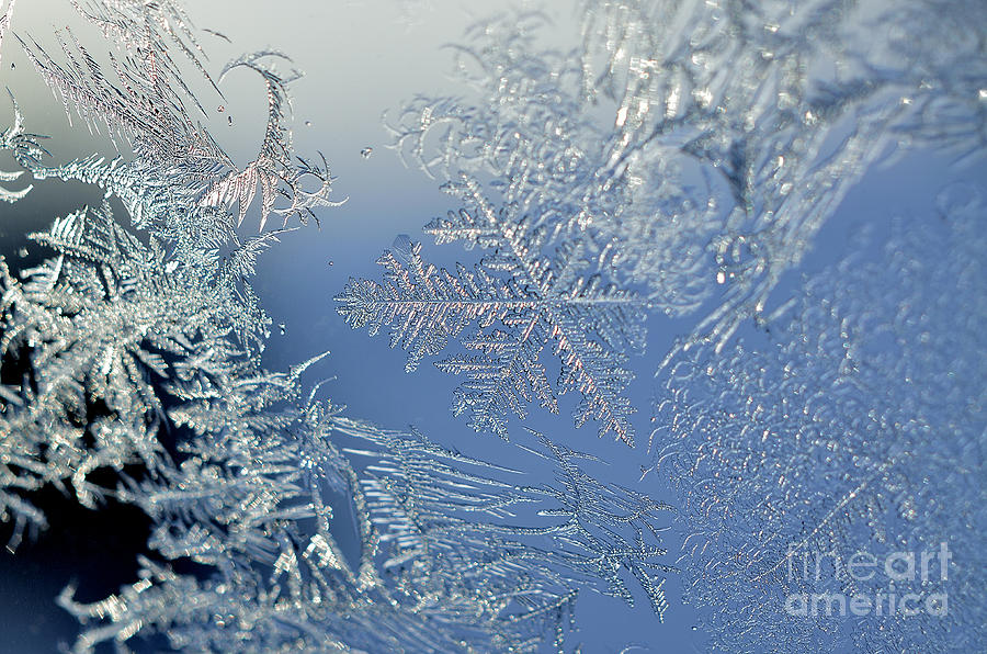 Frost on a Windowpane #13 Photograph by Thomas R Fletcher