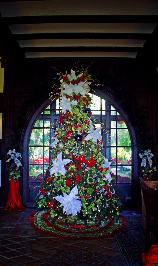 Christmas Photograph - Boks Tree by Laurie Perry