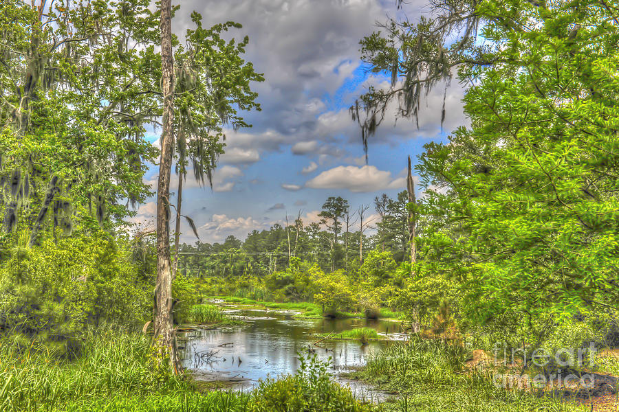 Lowcountry Marsh Photograph by Dale Powell