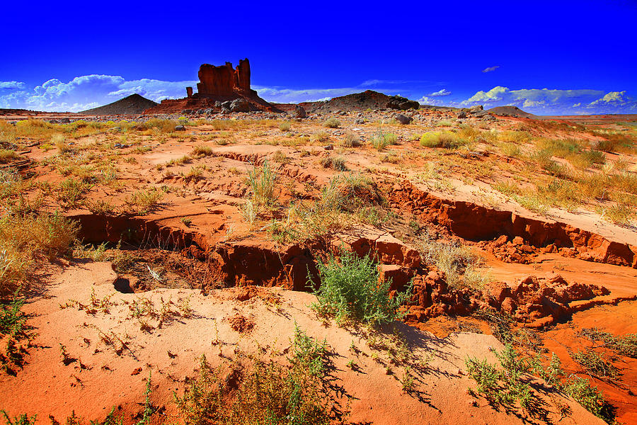 Monument Valley Utah USA #1 Photograph by Richard Wiggins