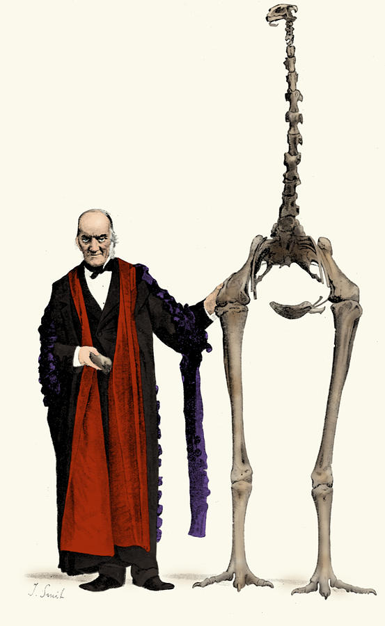 Richard Owen, English Paleontologist #13 Photograph by Science Source