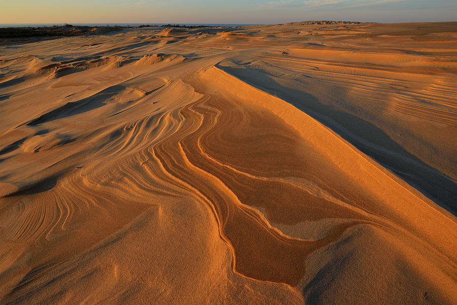 are dogs allowed in silver lake sand dunes