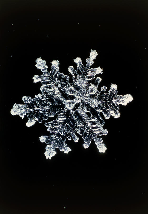Snowflake #13 Photograph by Perennou Nuridsany