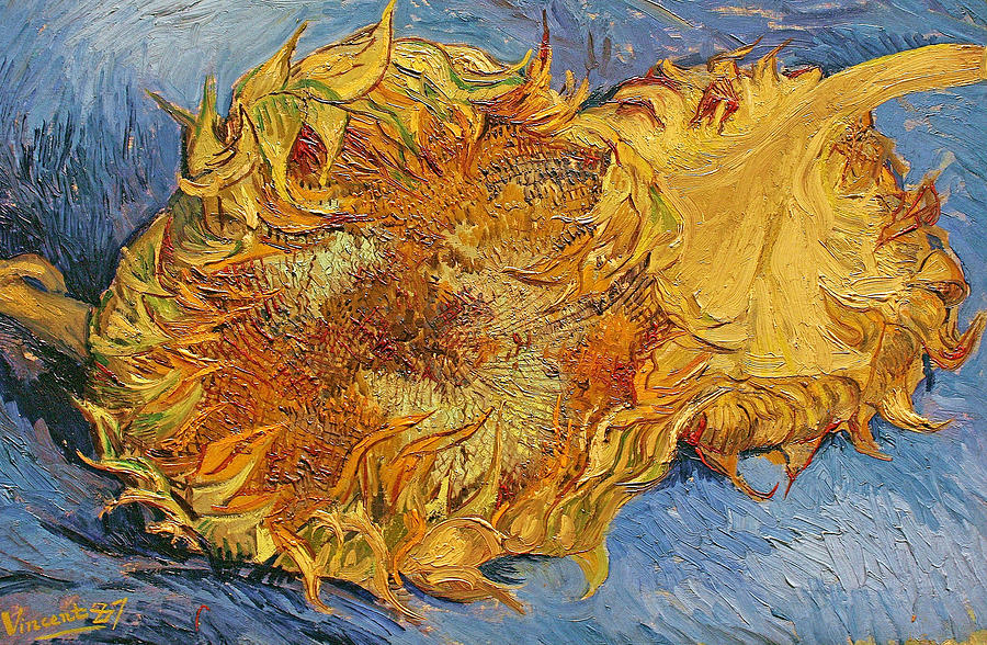 Sunflowers #36 Painting by Vincent van Gogh