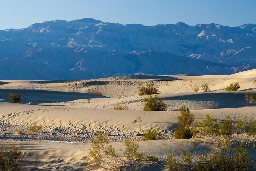 The Mesquite Sand Dunes Photograph by Roderick Bley - Fine Art America