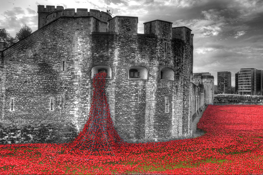 Tower of London Poppies #14 Photograph by Chris Day