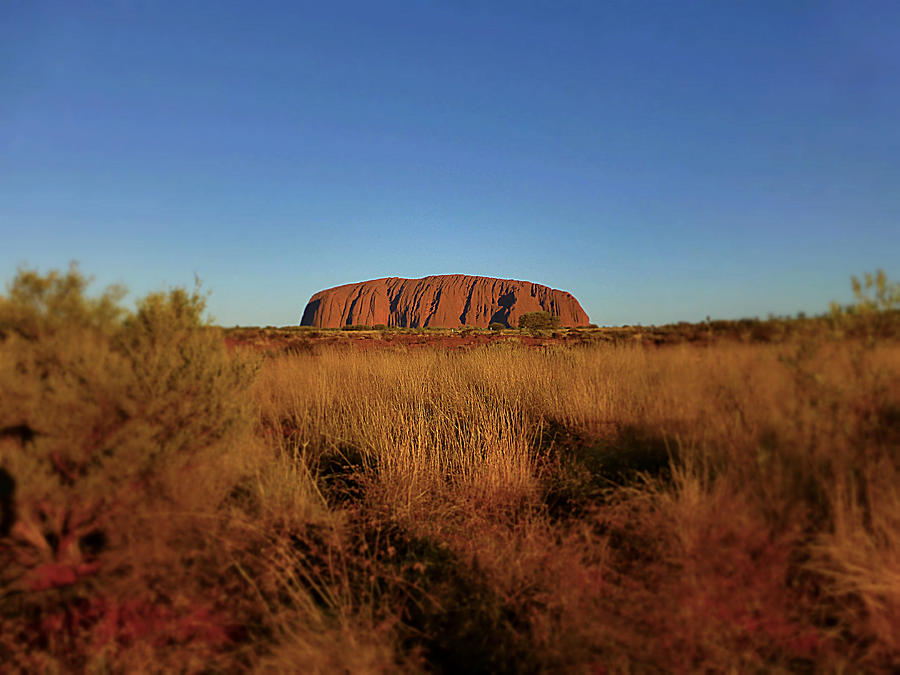 Uluru Photograph