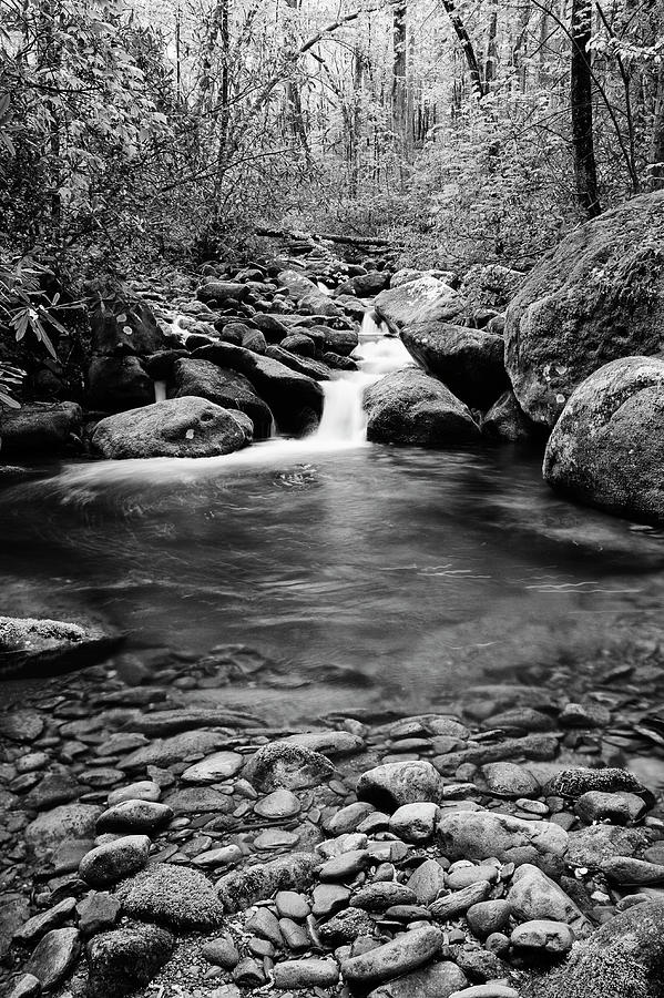 USA, Tennessee, Great Smoky Mountains #13 Photograph by Jaynes Gallery USA, Tennessee, Great Smoky Mountains #13 Photograph by Jaynes Gallery