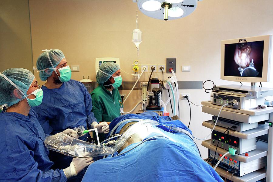 Veterinary Surgery Photograph by Mauro Fermariello/science Photo ...