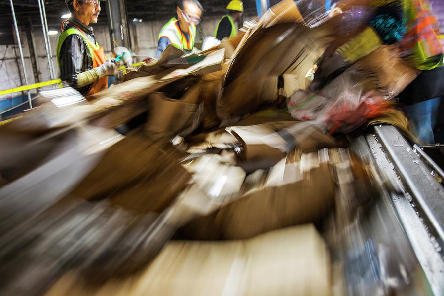 Waste Sorting At A Recycling Centre #13 Photograph by Science Photo Library Waste Sorting At A Recycling Centre #13 Photograph by Science Photo Library
