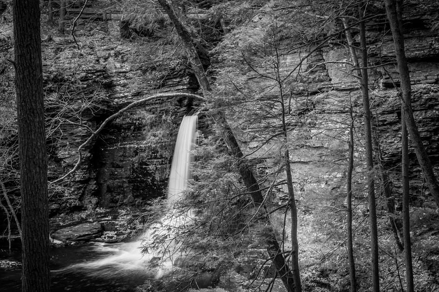 Waterfalls George W Childs National Park Painted BW   #13 Photograph by Rich Franco
