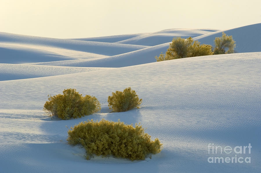 White Sands #13 Photograph by John Shaw