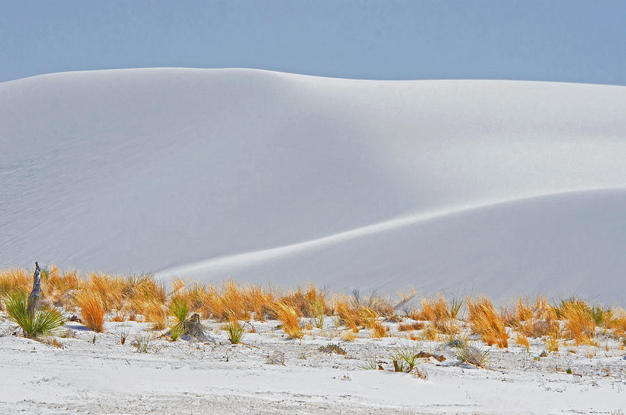 White Sands National Monument, Nm #13 Photograph by Millard H. Sharp
