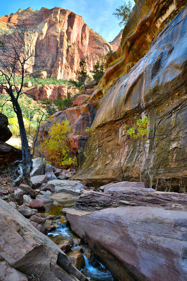 Zion National Park #14 Photograph by Ray Mathis