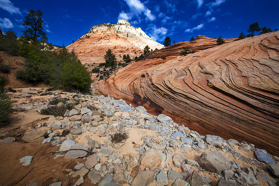 Zion National Park Utah USA Photograph by Richard Wiggins