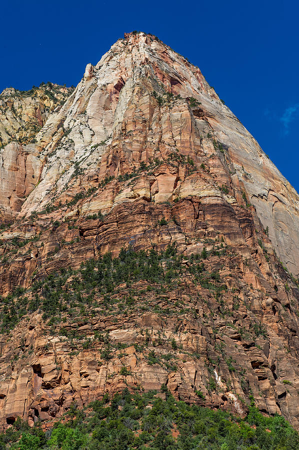 Zion National Park #13 Photograph by Willie Harper