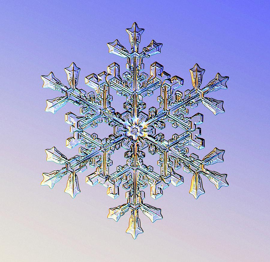 Snowflake #131 Photograph by Kenneth Libbrecht
