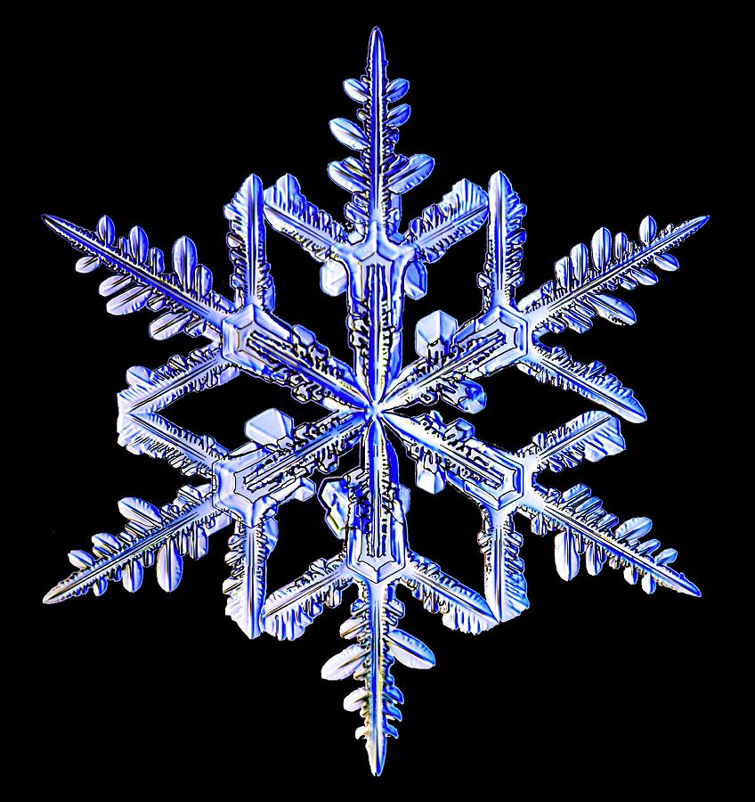 Snowflake #134 Photograph by Kenneth Libbrecht