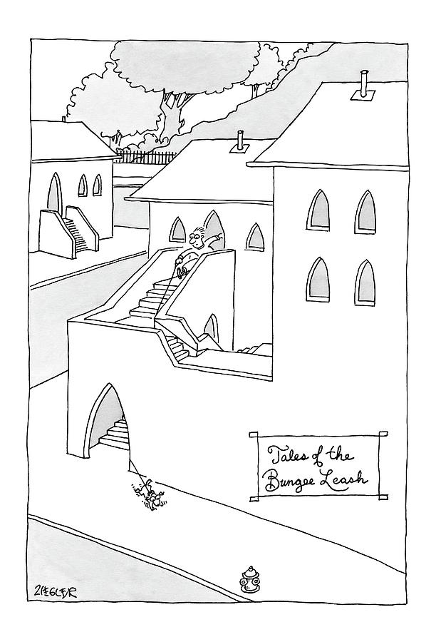 Tales Of The Bungee Leash Drawing by Jack Ziegler