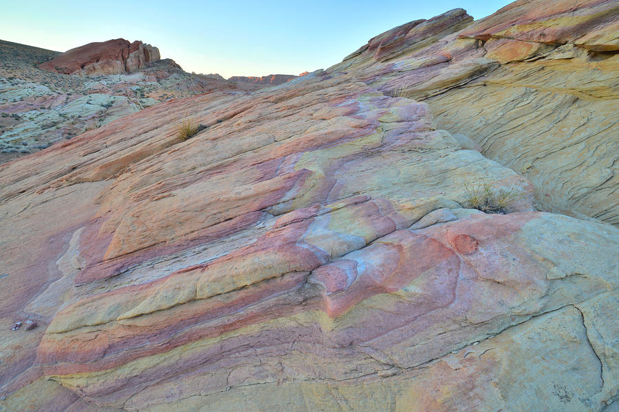 Valley of Fire #540 Photograph by Ray Mathis