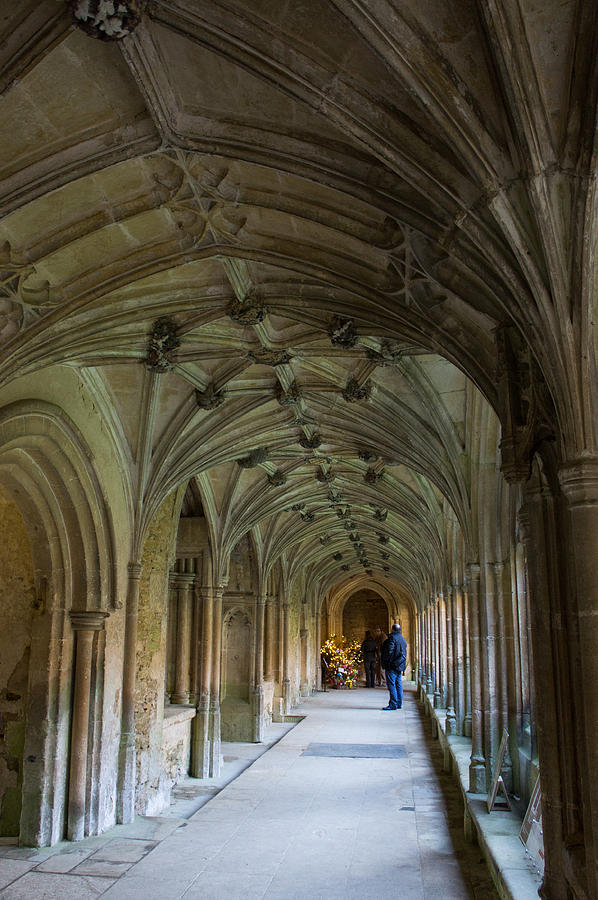 13th century Abbey Cloisters Photograph by Weir Here And There