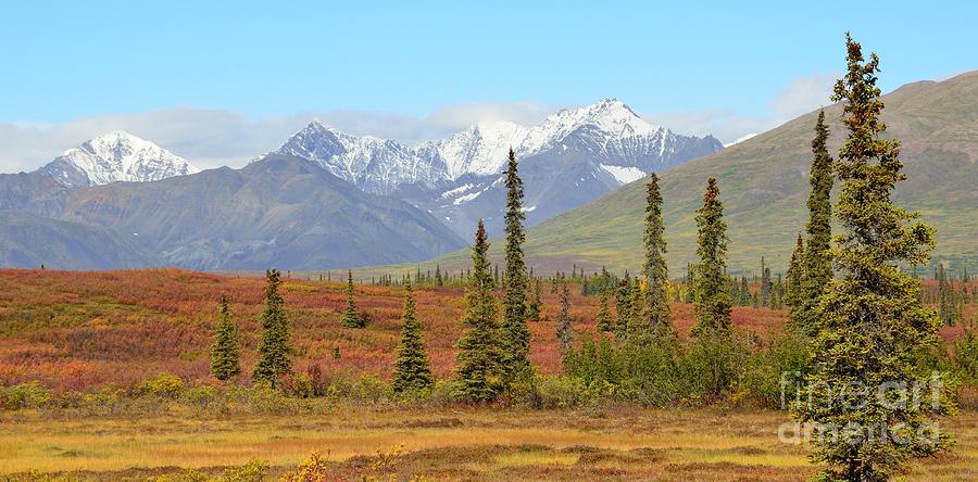 Alaska Range Photograph