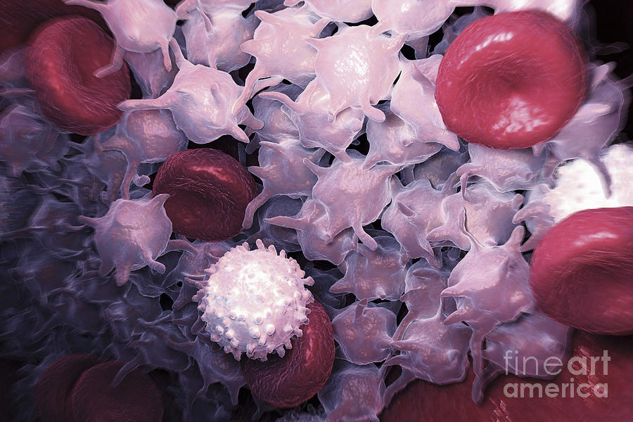 Blood Cells #14 Photograph by Science Picture Co
