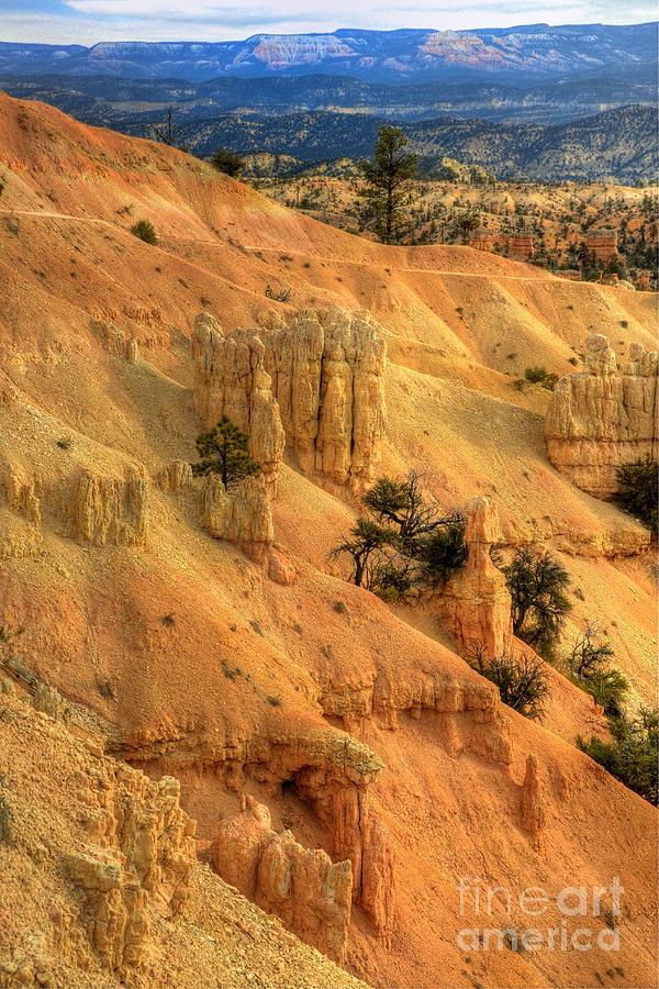 Bryce Canyon Photograph by Marc Bittan