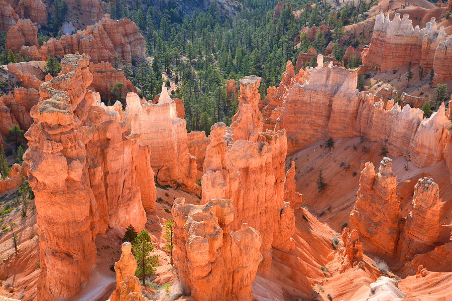 Bryce Canyon #37 Photograph by Ray Mathis