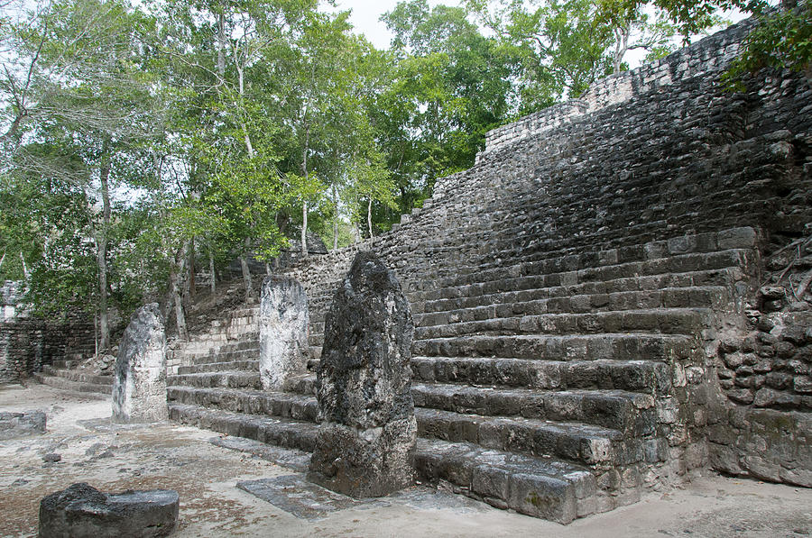 Calakmul Mayan Ruins Digital Art By Carol Ailles - Fine Art America