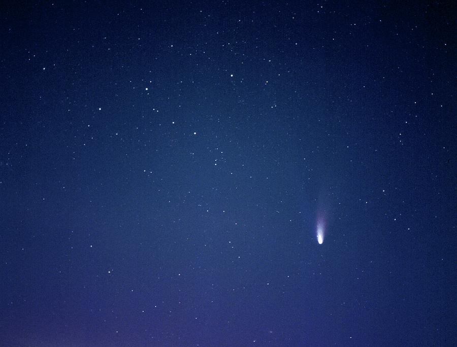 Comet Hale-bopp #14 Photograph by Detlev Van Ravenswaay - Fine Art America