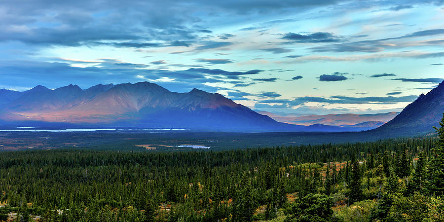Denali Highway, Route 8, Offers Views #14 Photograph by Panoramic Images