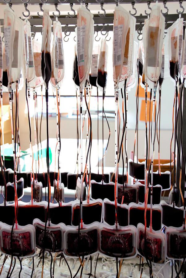 Equipment Photograph - Donor Blood Processing #14 by Aj Photo/science Photo Library