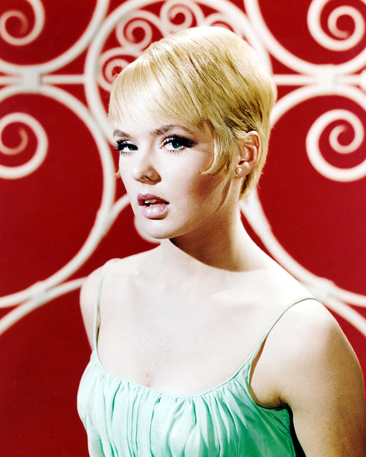 Joey Heatherton #14 Photograph by Silver Screen - Pixels