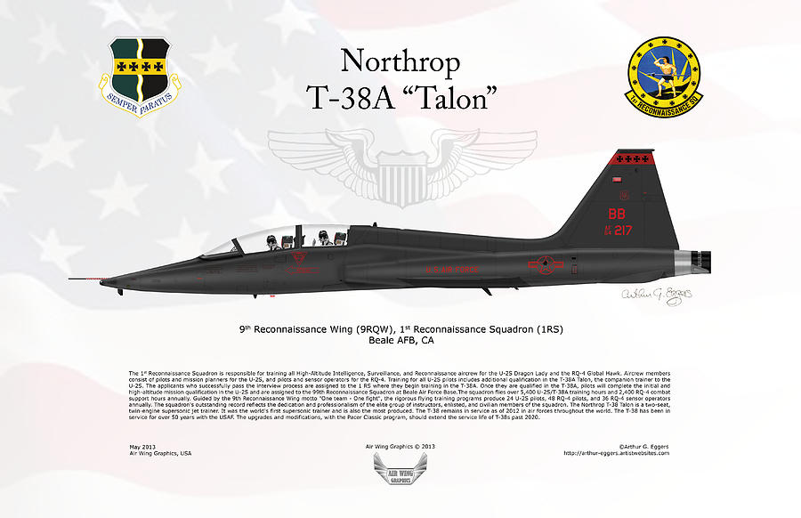 Northrop T-38A Talon FLAG BACKGROUND Digital Art by Arthur Eggers