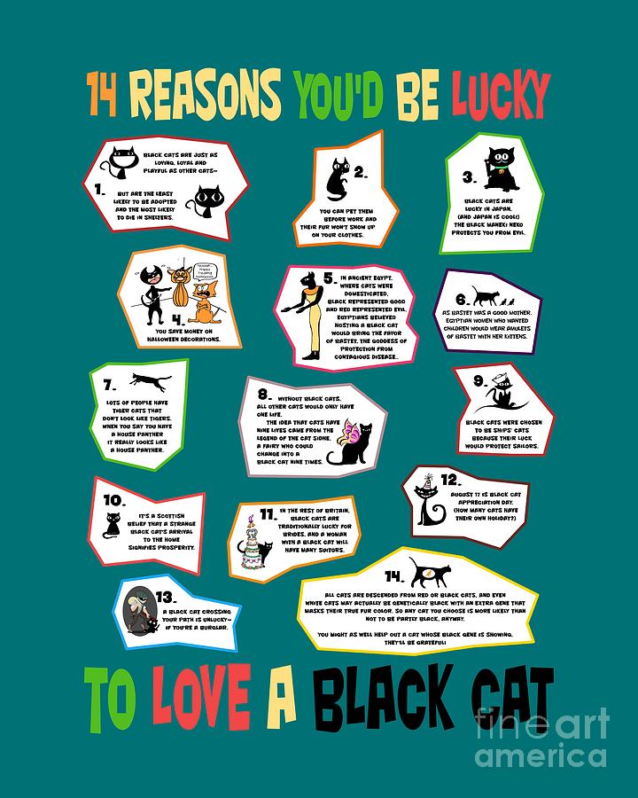 14 Reasons Youd Be Lucky To Love A Black Cat Digital Art
