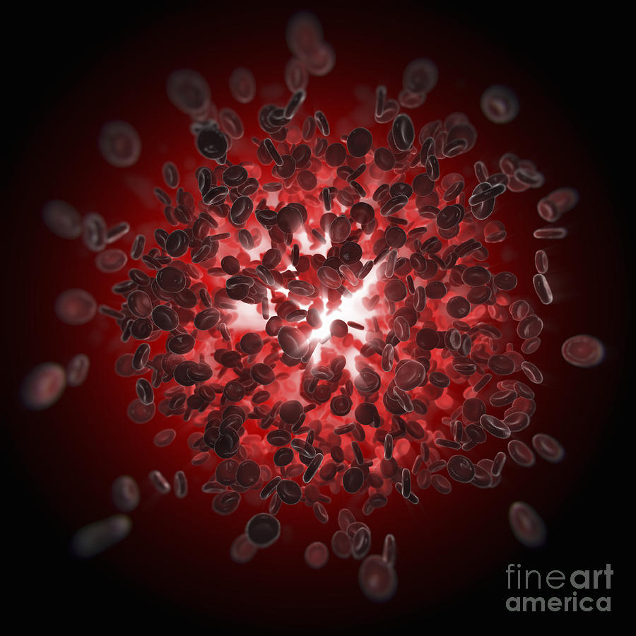 Red Blood Cells #45 Photograph by Science Picture Co