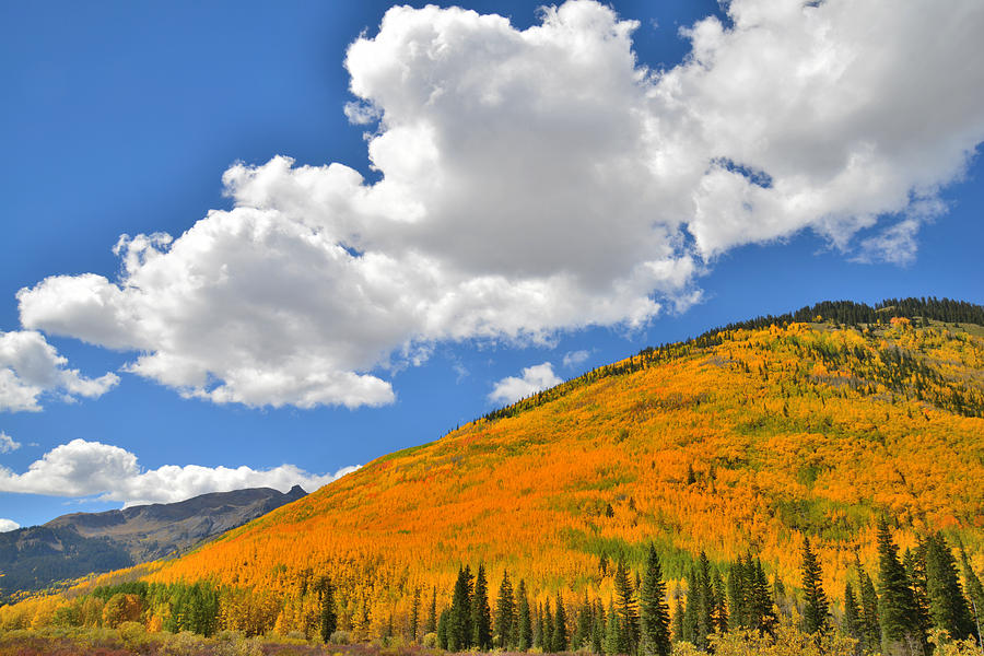 Red Mountain Pass Fall Colors #15 Photograph by Ray Mathis